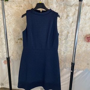 Ann Taylor Loft Navy Dress
